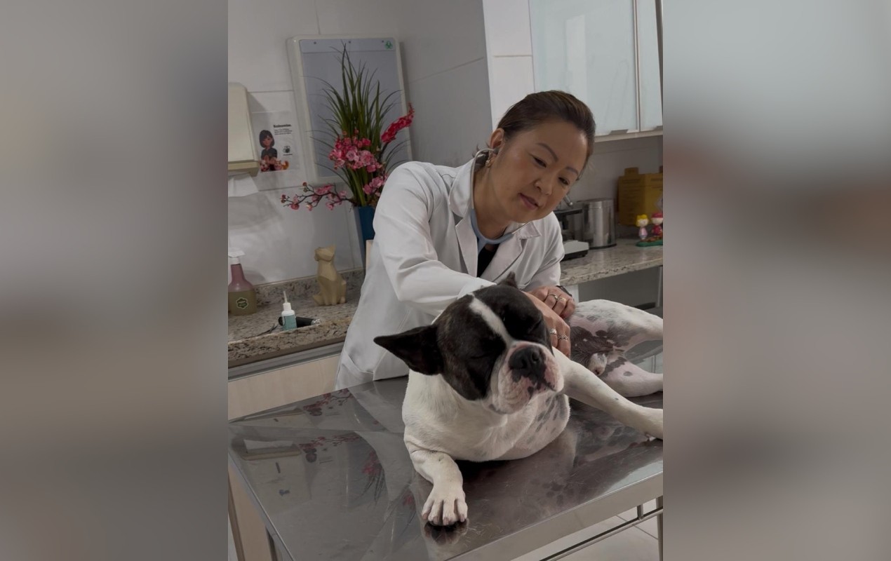 Gripe canina: veterinária alerta que doença é mais frequente no inverno e indica cuidados para proteger os pets