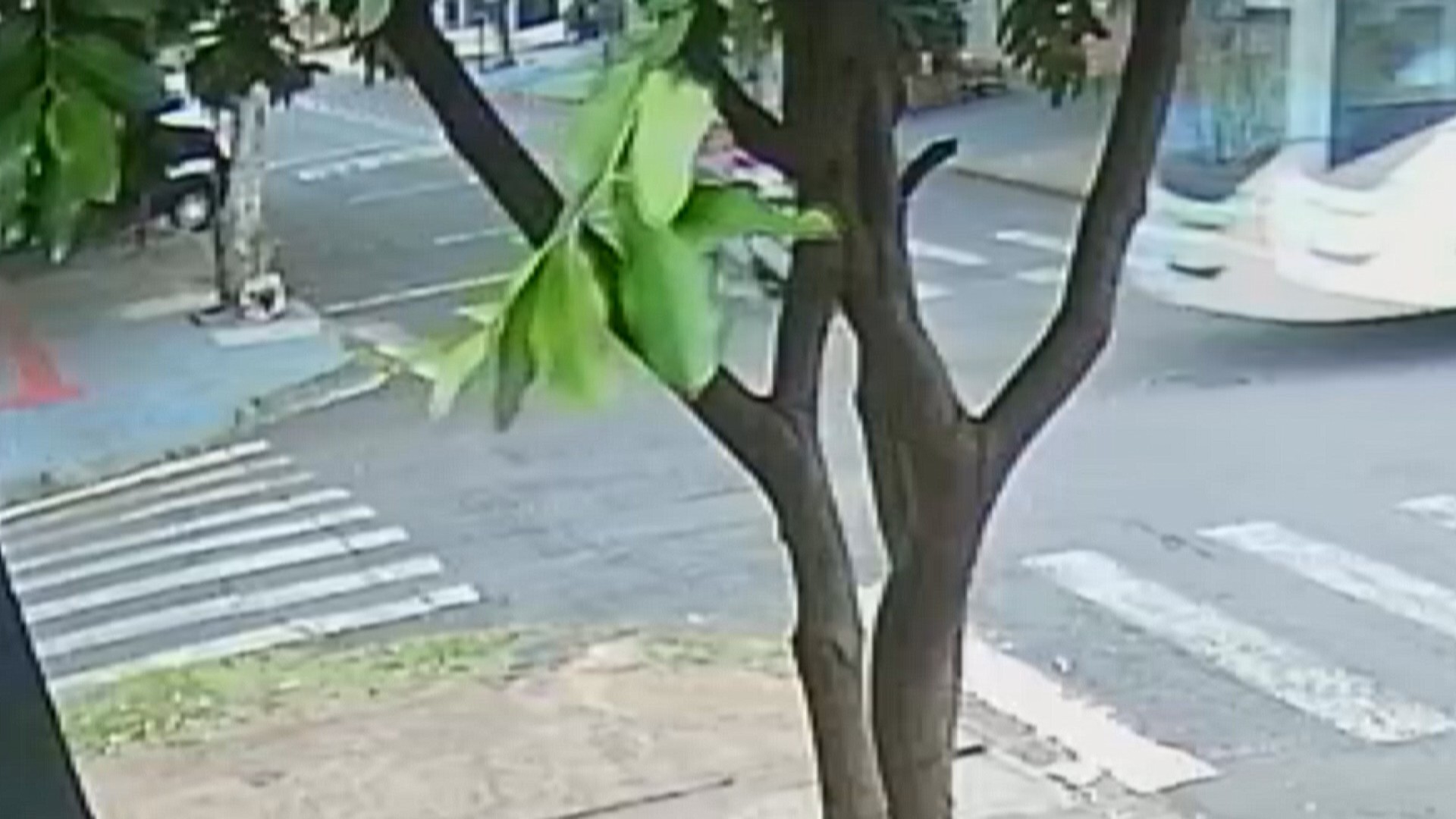 Jovem que pilotava moto elétrica sem capacete morre ao ser atingido por ônibus em cruzamento de Maringá, dizem bombeiros