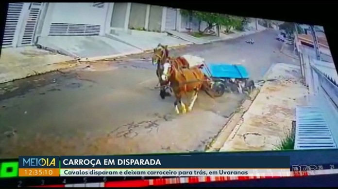 Vídeo mostra homem desossando cavalo para possível comercialização