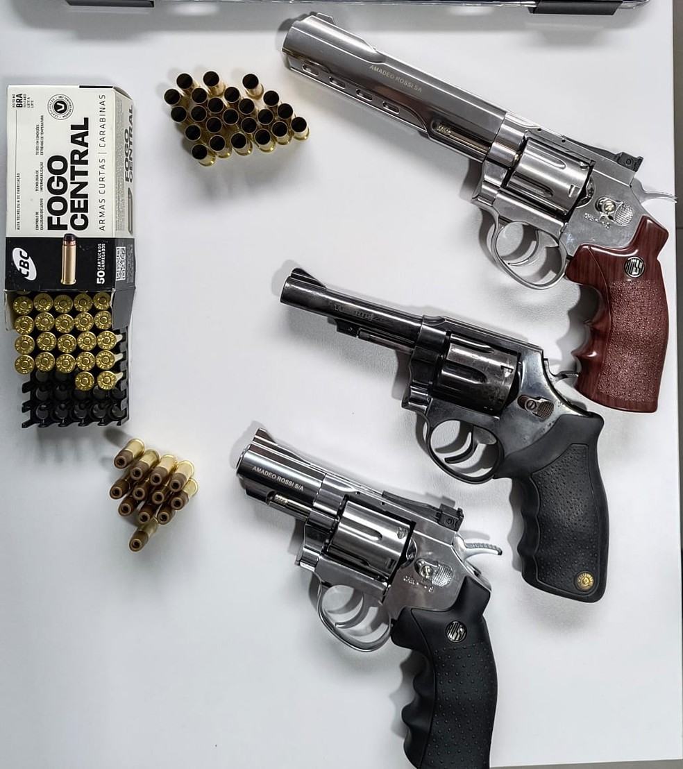Armas apreendidas na casa de Marcos Harter — Foto: Polícia Civil