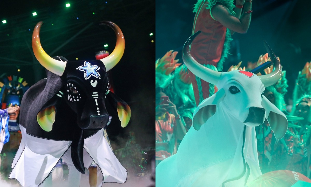 Caprichoso e Garantido na arena: veja fotos da primeira noite do Festival de Parintins