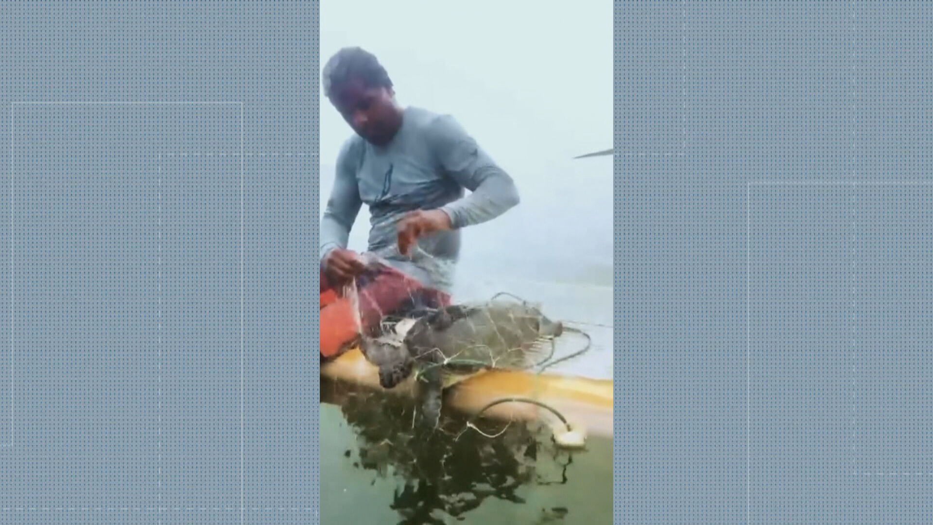 Tartaruga presa em rede de pesca é resgatada no mar em Niterói