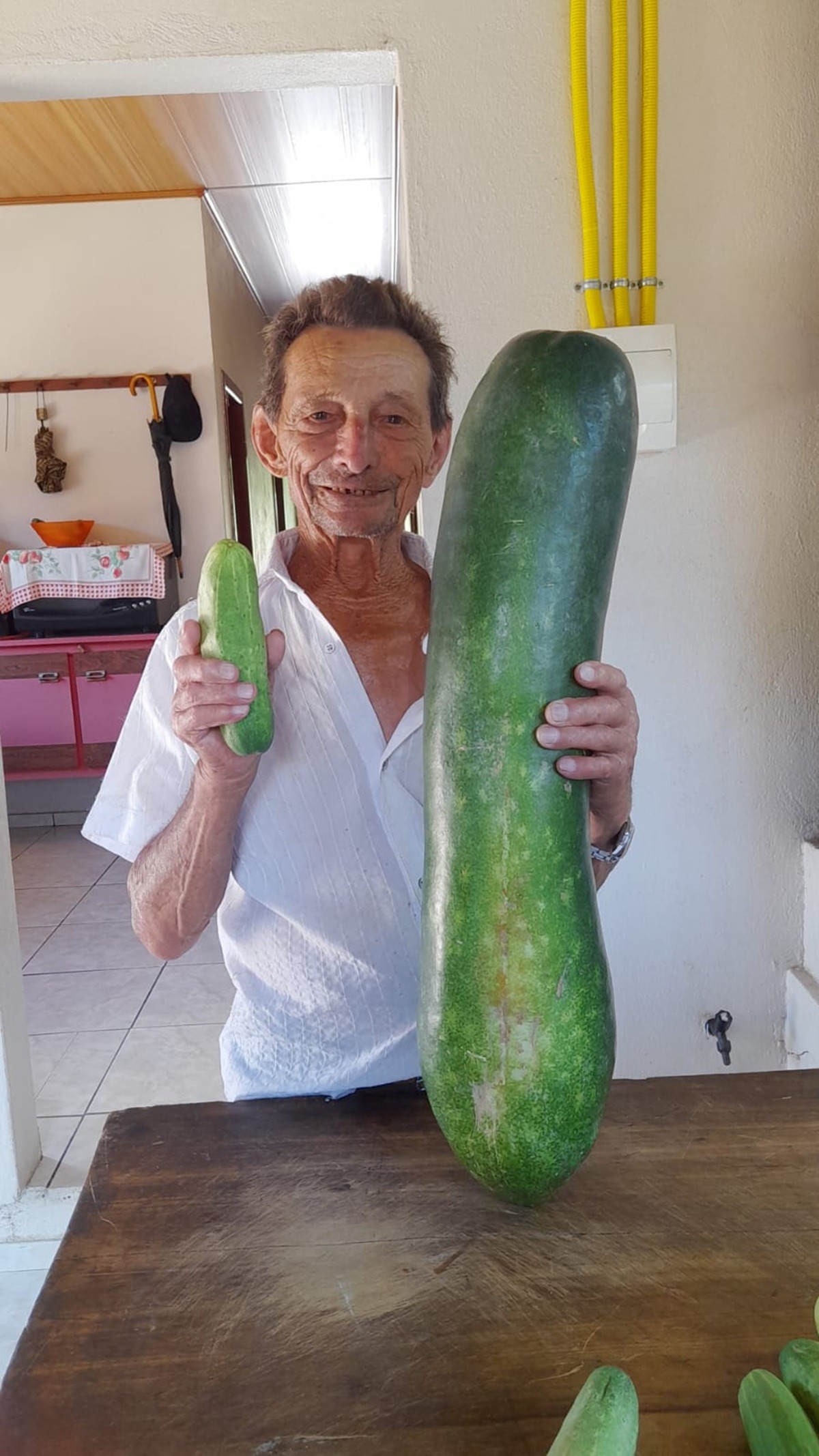 Pepino gigante? O que explica crescimento incomum de hortaliça de  7 kg que surpreendeu agricultor em SC