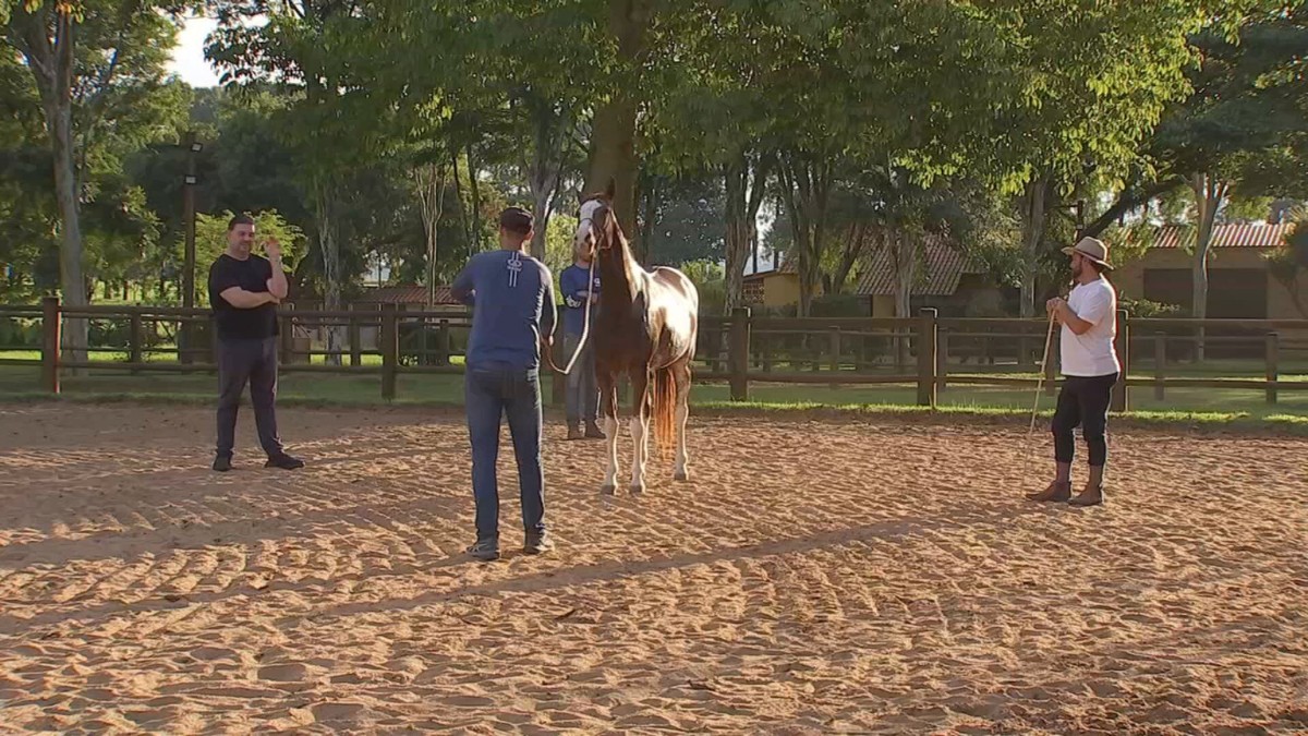 ExpoAgro de Itapetininga: a tradição que une gerações e movimenta milhões