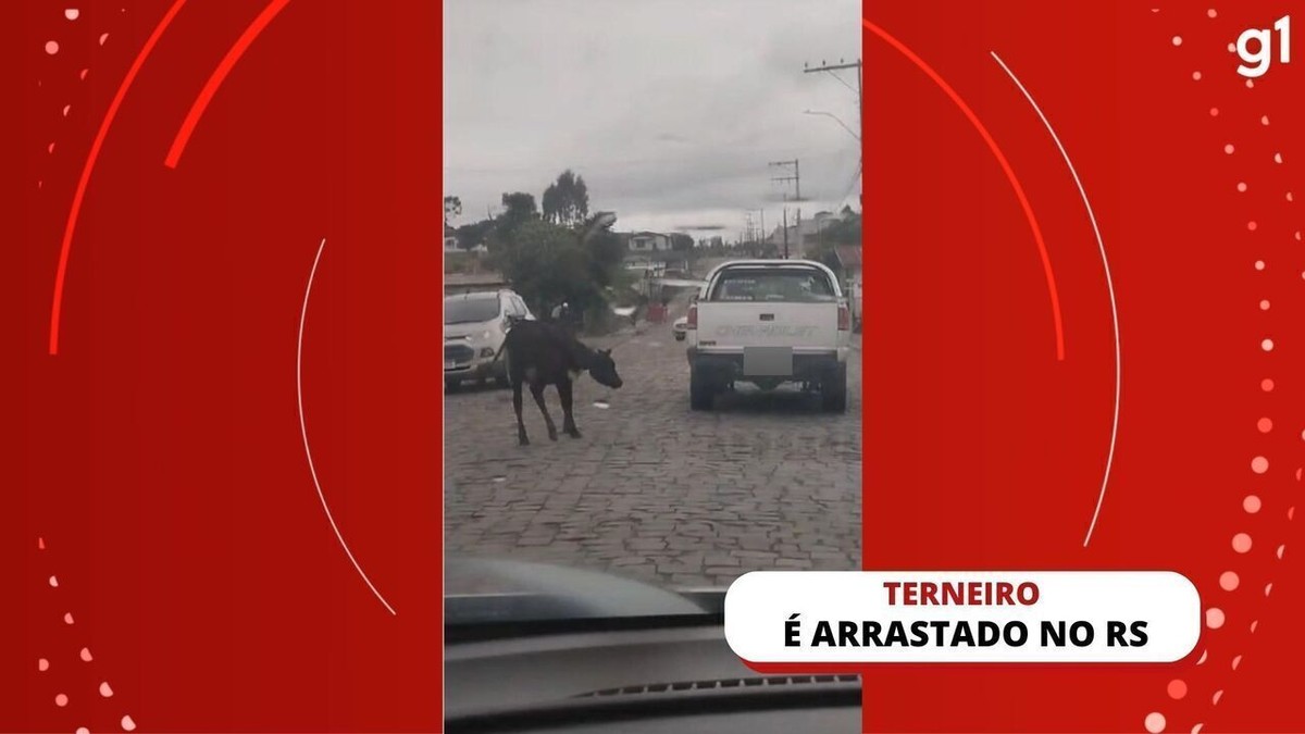 Terneiro é arrastado por veículo na Serra do RS