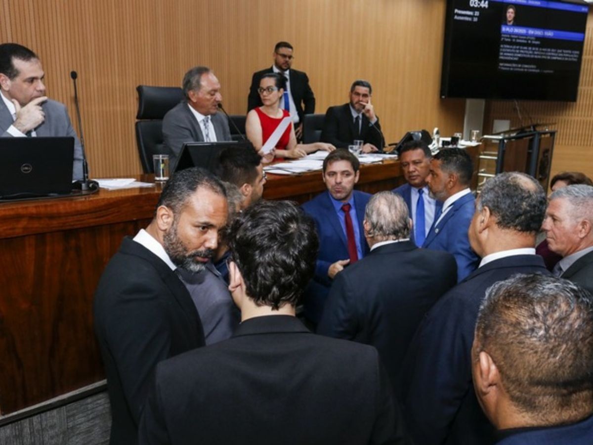 Câmara aprova em definitivo projeto que amplia sanções por maus-tratos a animais em Campinas