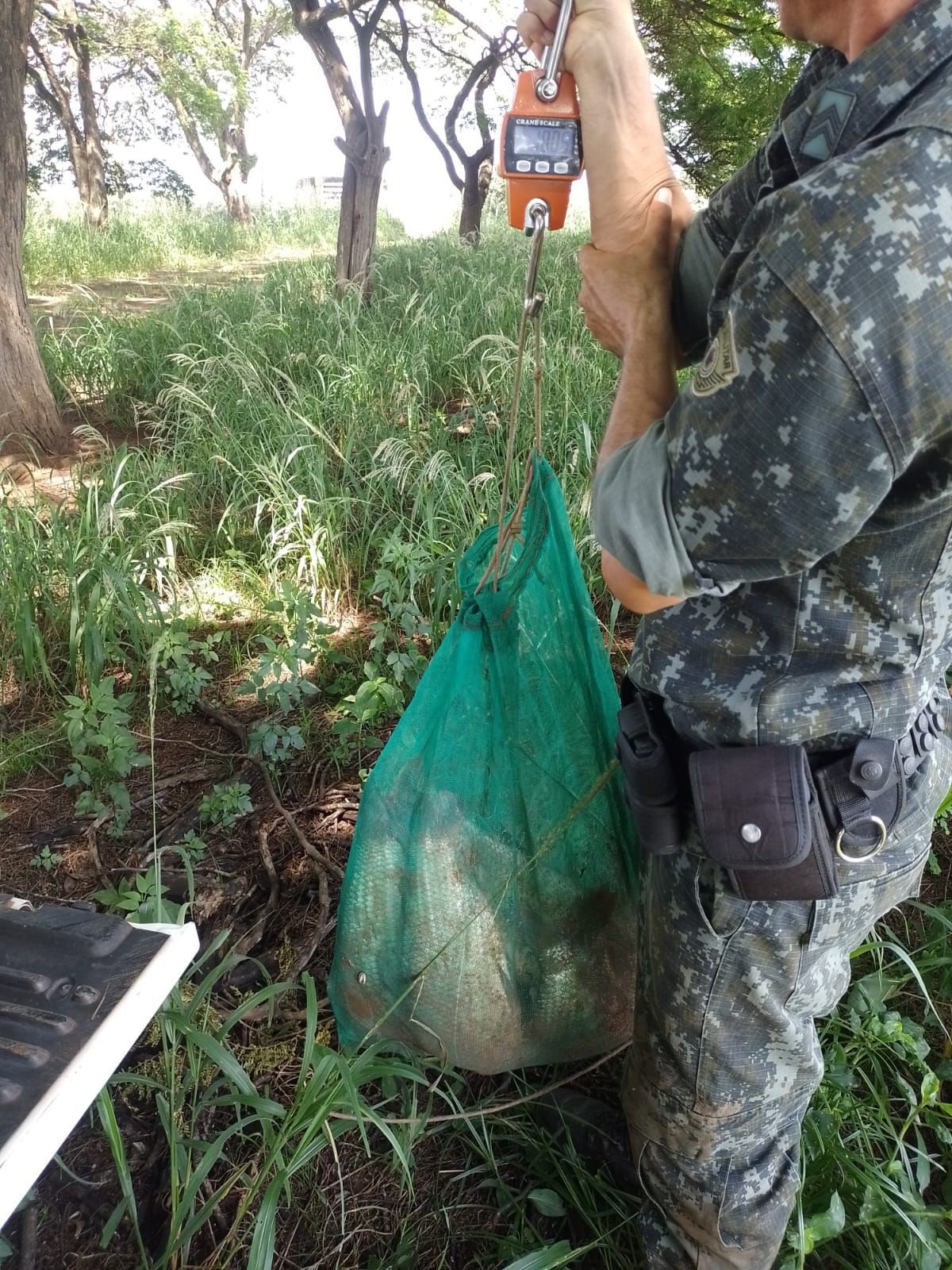 Homem é multado em R$ 1,3 mil e responderá criminalmente após pescar peixes nativos durante Piracema no Rio Aguapeí