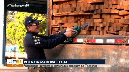 Tocantins virou rota de transporte de madeira ilegal
