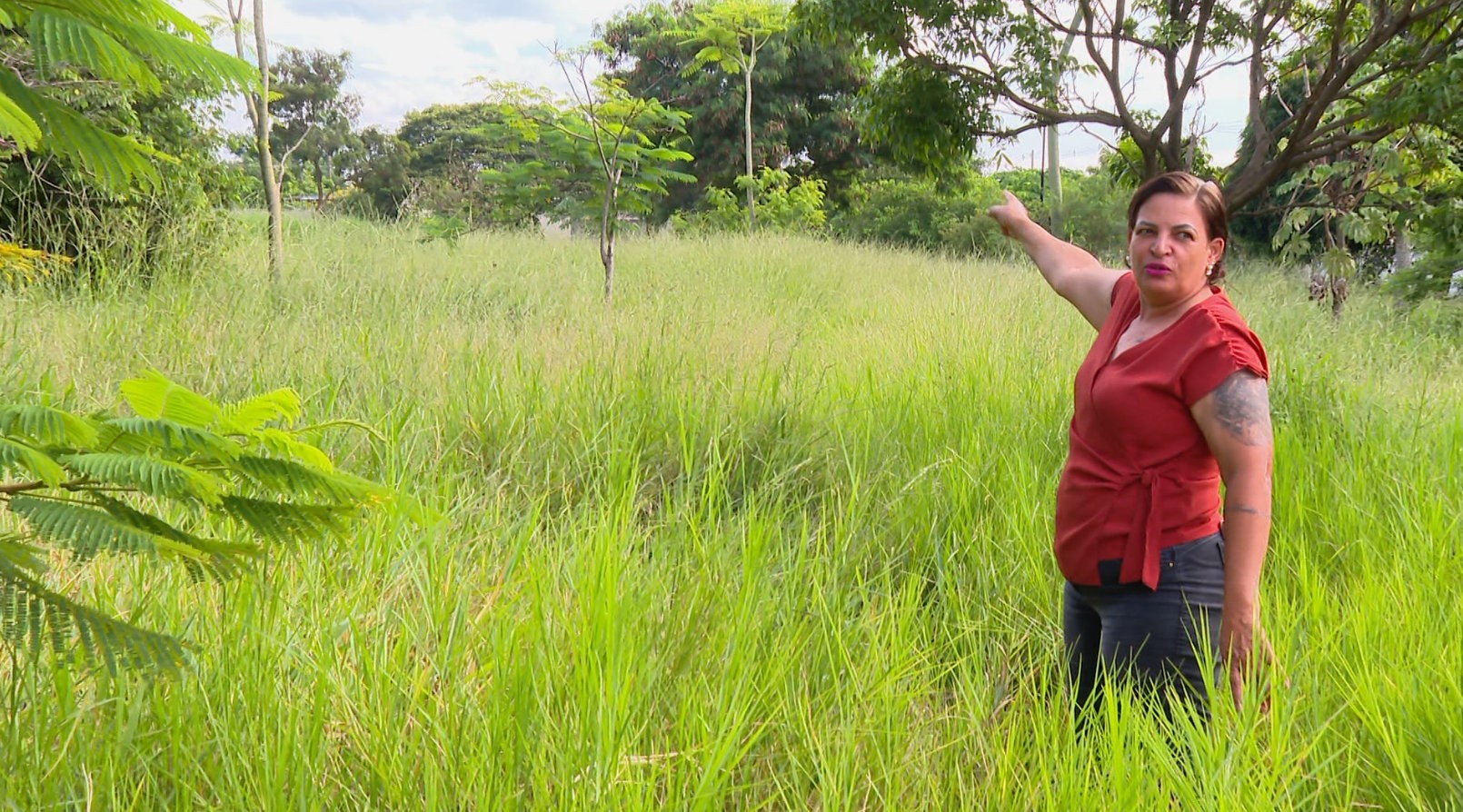 Praça tomada pelo mato gera medo e revolta em Araraquara