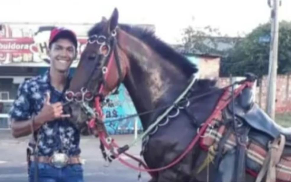 Cavalo morre após receber quase 50 chicotadas e golpes de pá do dono