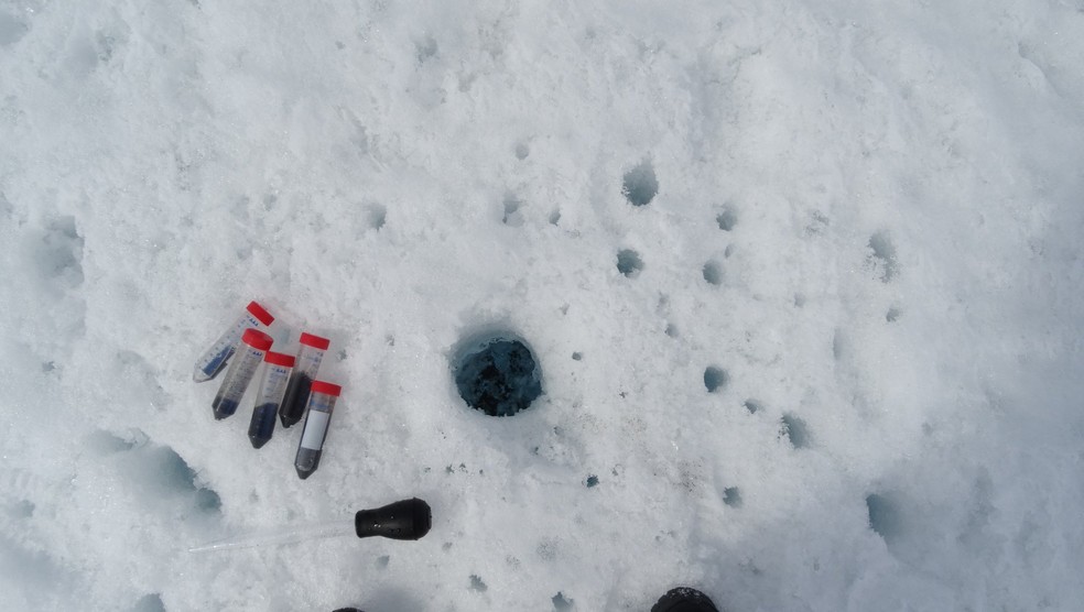 As amostras com as coletas retiradas do gelo. Uma pequena pipeta contém muitos microorganismos. — Foto: Laura Perini