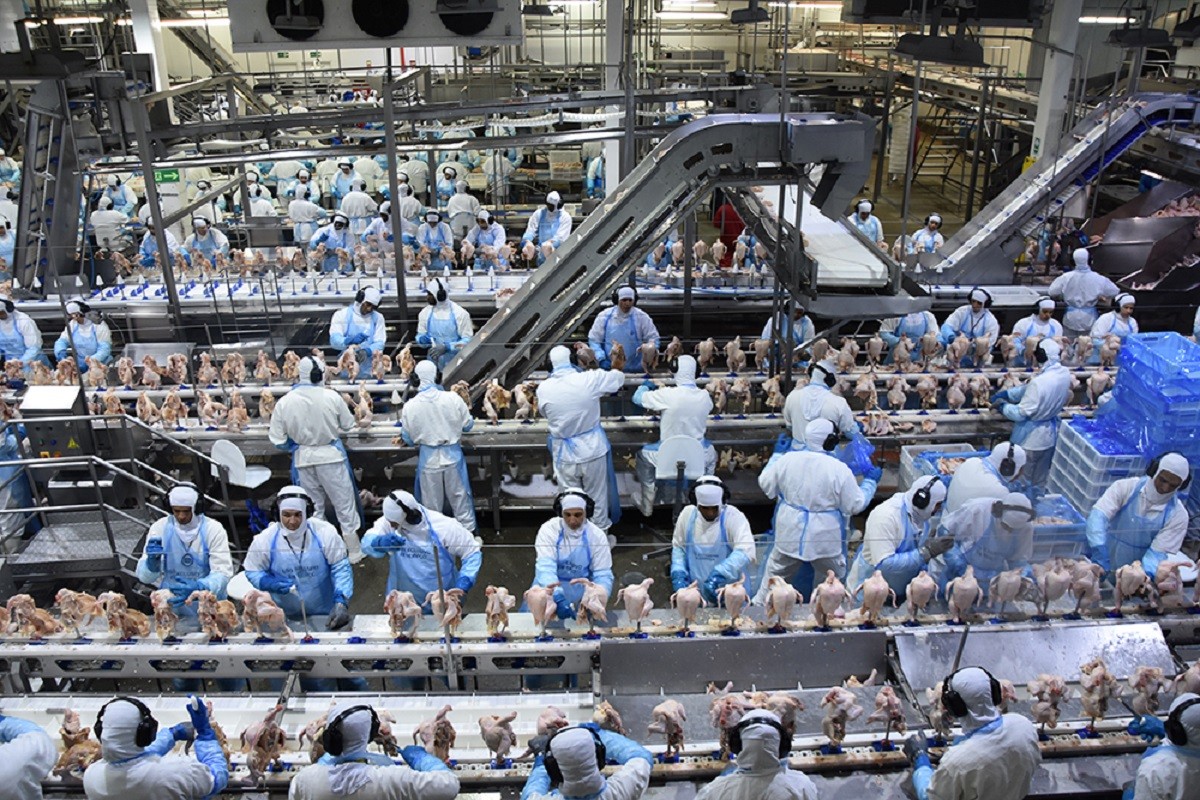 Empresários apontam tributos, falta de mão de obra qualificada e baixa oferta de crédito como principais vilões, diz pesquisa