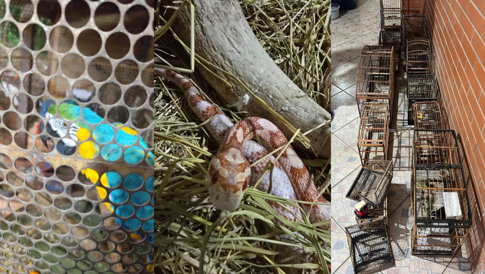 Você Não Tá Convidada pro Meu Bat Mitzvá!