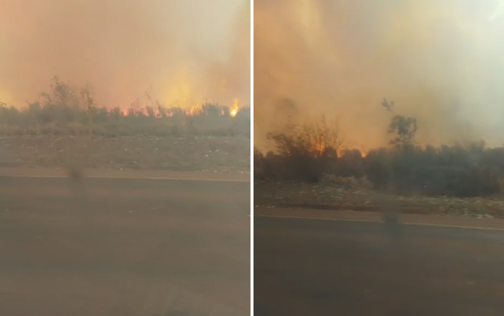 Incêndio em canavial interdita trecho de rodovia em Luís Antônio, SP