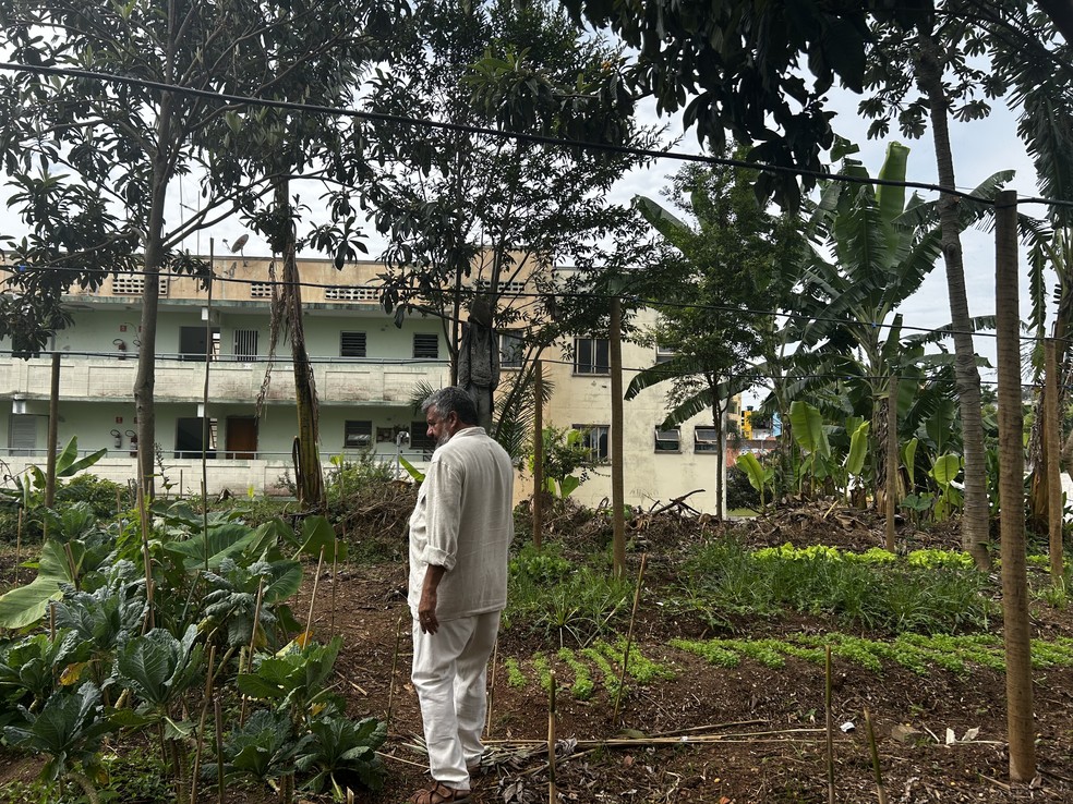 Hermes de Sousa, fundador do NUA e do Cacimba, na horta das Mulheres do GAU — Foto: Aline Freitas/g1