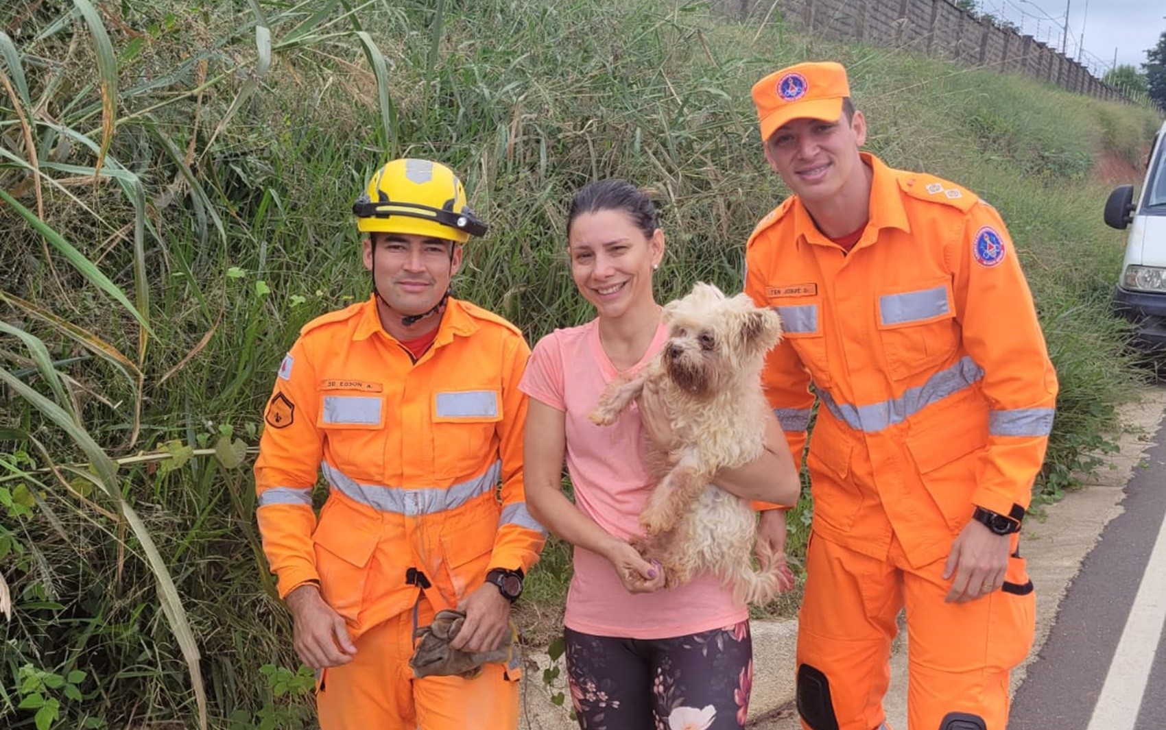 Cão com deficiência visual e auditiva fica preso em bueiro de condomínio e é resgatado pelos bombeiros em MG