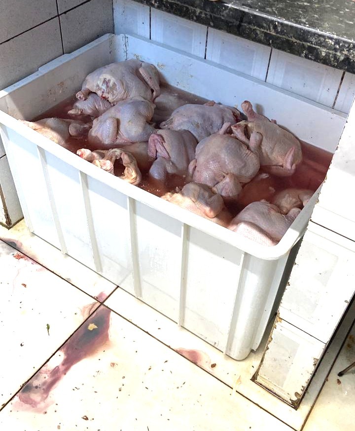 Mais de meia tonelada de carnes impróprias para consumo é apreendida em MG