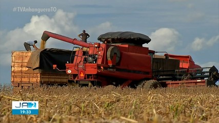 Veja os destaques do Globo Rural deste domingo (25)