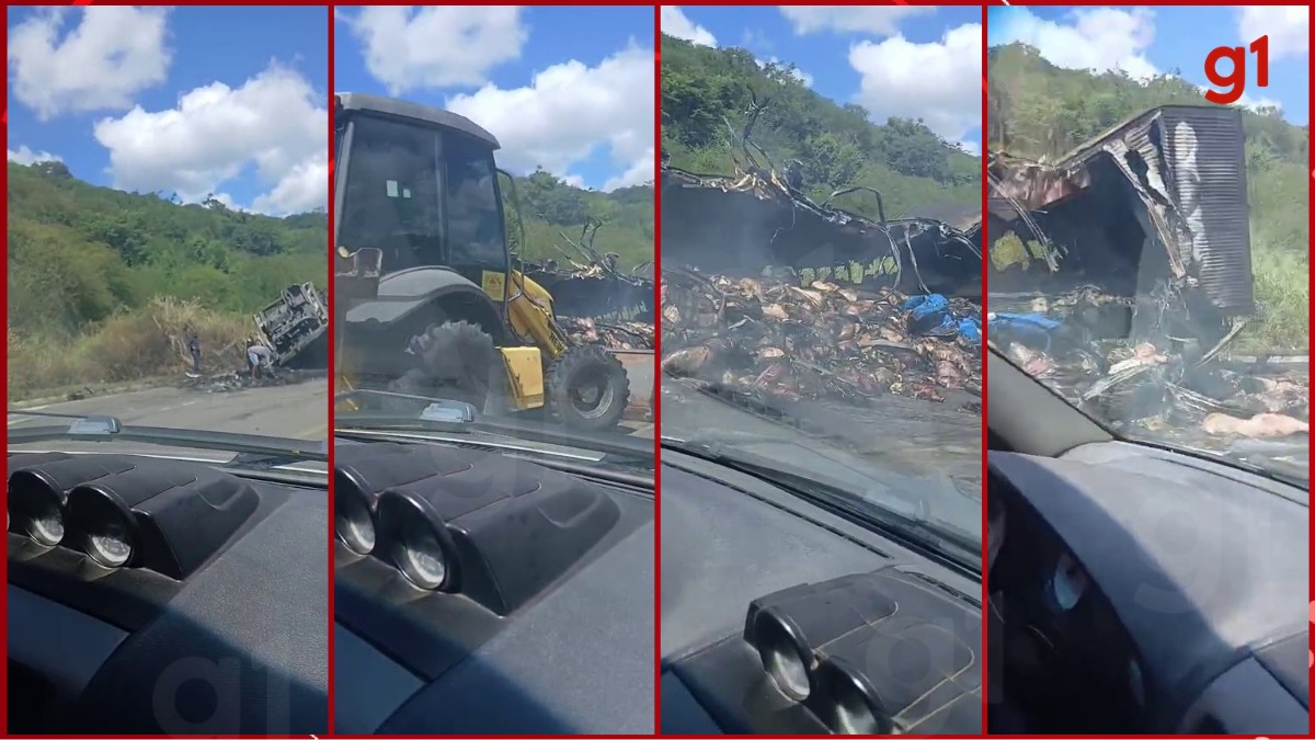 Caminhão com carga de suínos pega fogo na BR-116, em Itaobim