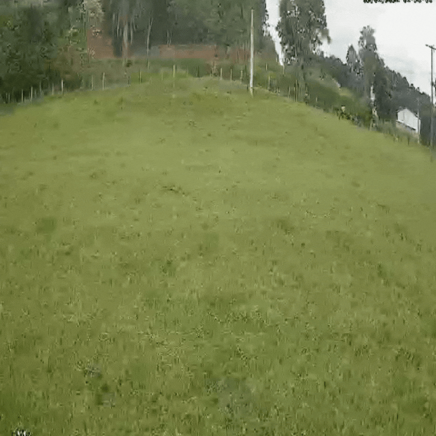 Você Não Tá Convidada pro Meu Bat Mitzvá!