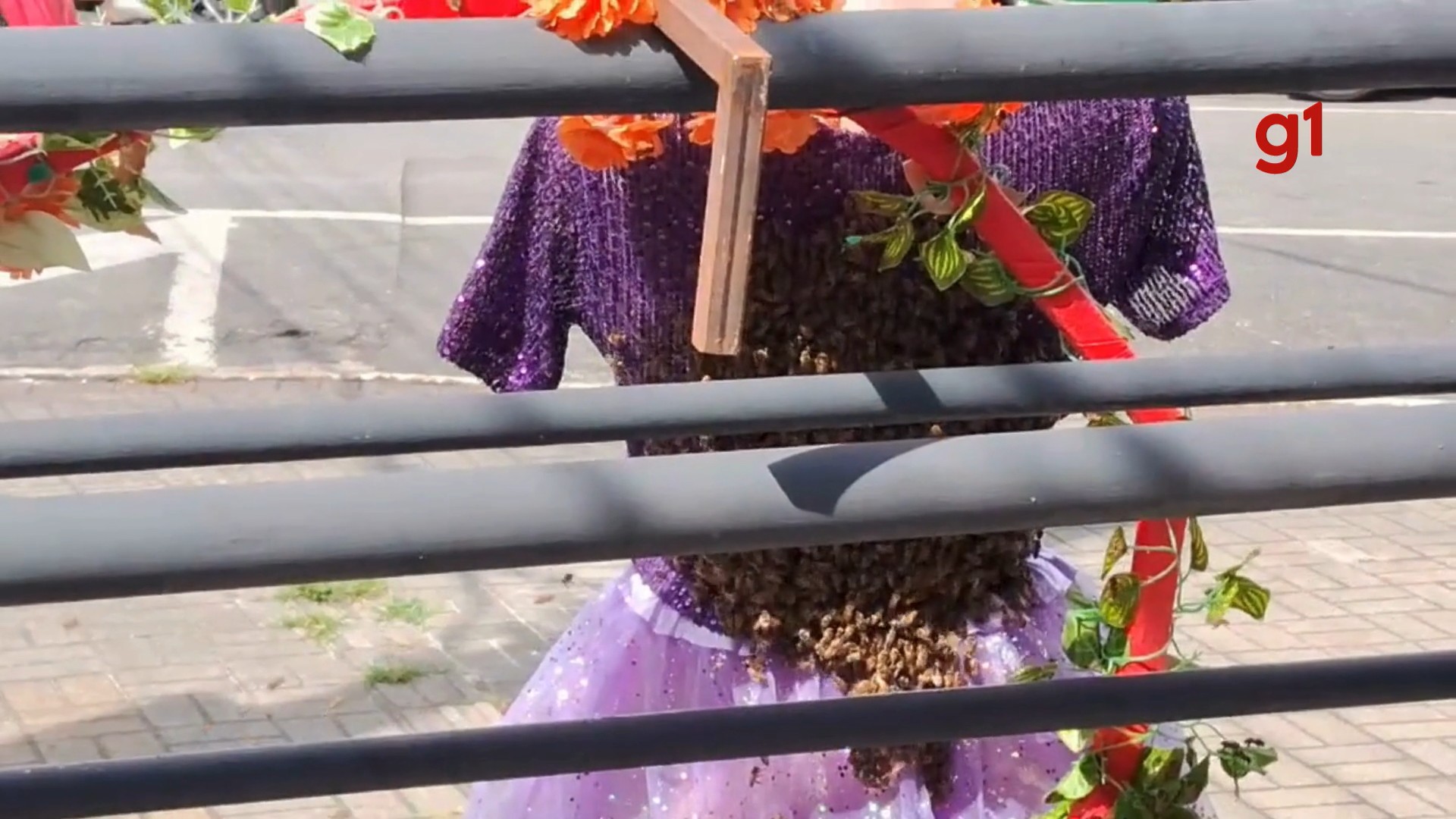 VÍDEO: Enxame de abelhas toma conta de manequim em loja de Taubaté