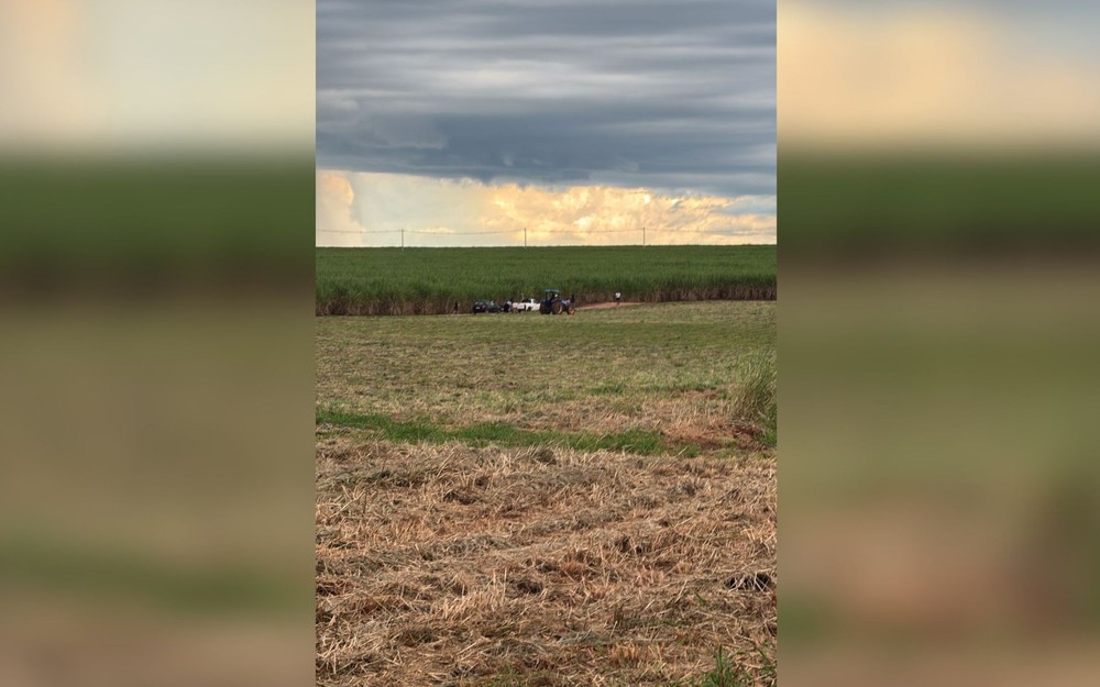 Idosa que desapareceu ao sair de casa com sacola na mão é encontrada morta em canavial no interior de SP