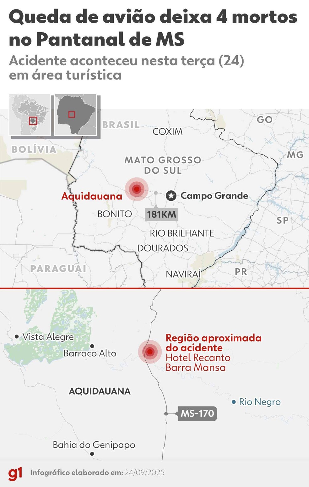 Avião caiu em Aquidauana, no Pantanal de Mato Grosso do Sul. — Foto: Arte/g1