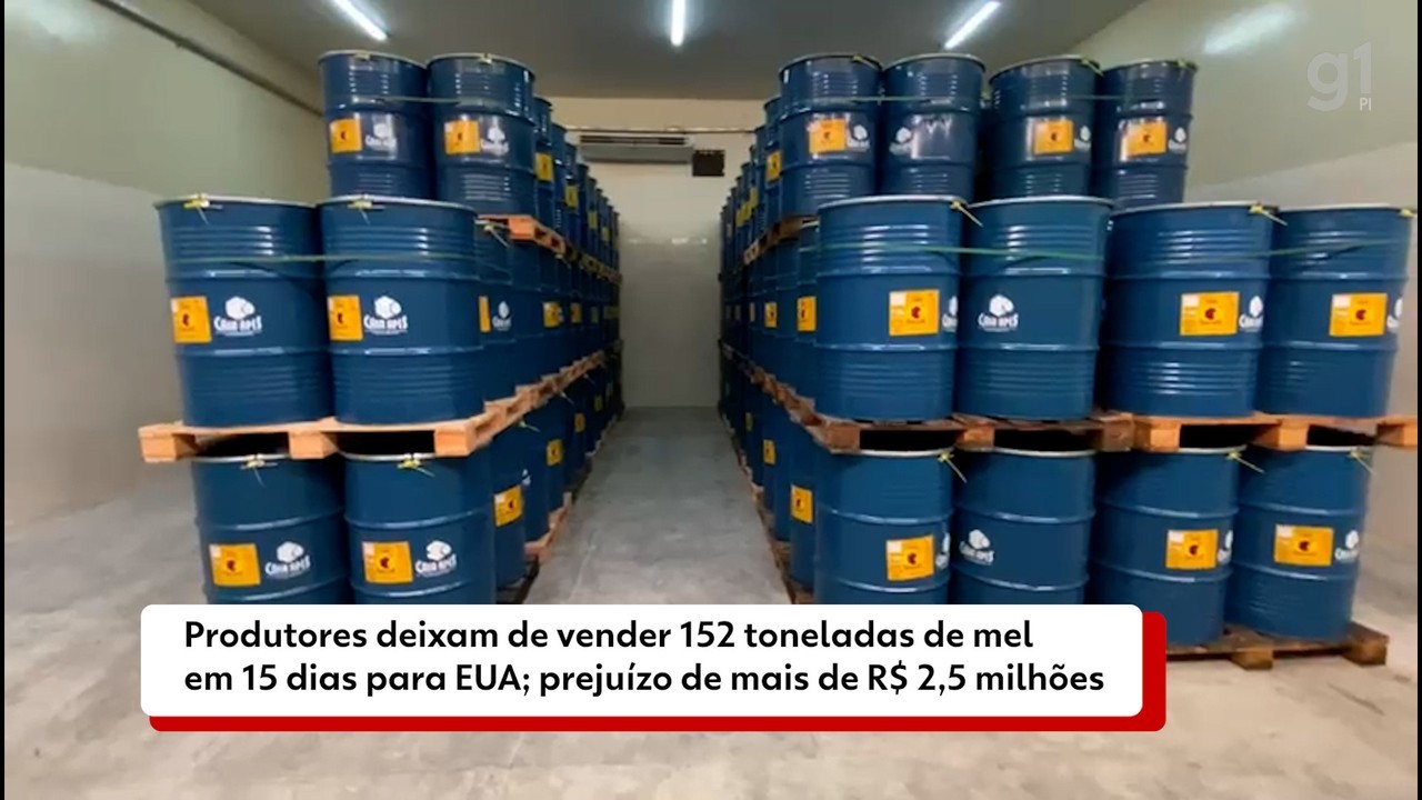 Produtores de mel do Piauí buscam novos mercados em meio ao tarifaço de Trump