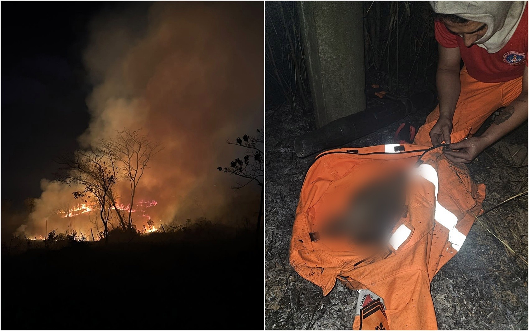 Quatro filhotes de cães morrem após serem encontrados em área de incêndio em MG