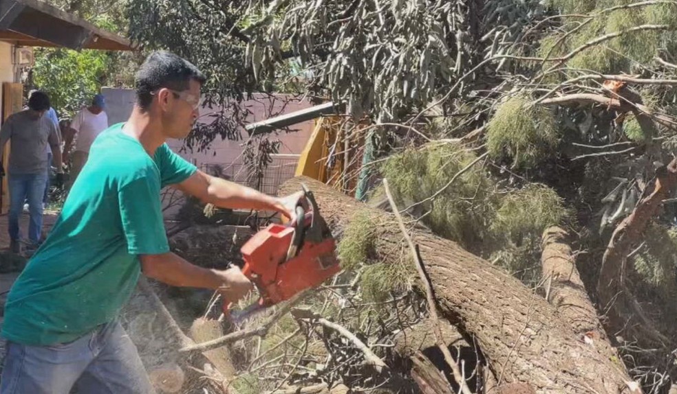 Trabalho de retirada das árvores é feito nesta segunda-feira em Ourinhos — Foto: Heytor Campezzi / TV TEM