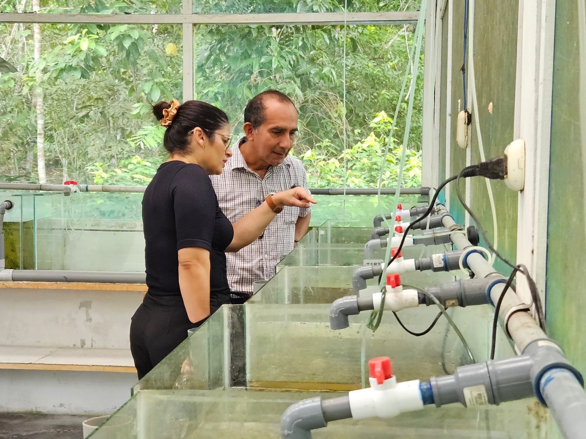 Amazonas firma parceria com Peru para combater doenças infeccionas na região de fronteira | Amazonas