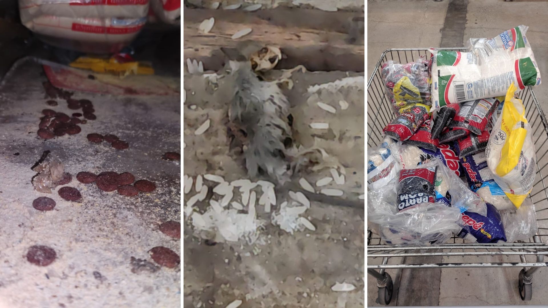 VÍDEO: rato morto e fezes de animais são encontrados entre alimentos em supermercado na Serra