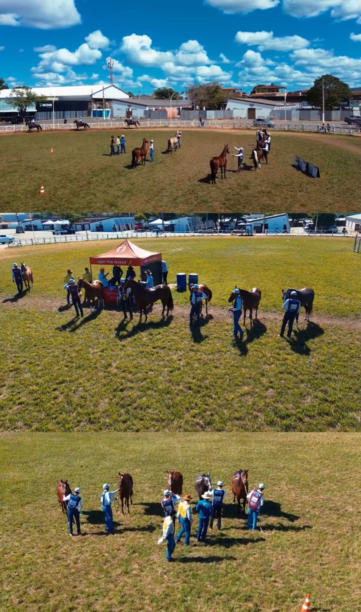 Exposição Especializada Lut’z do Mangalarga Marchador começa nesta quinta-feira em Montes Claros