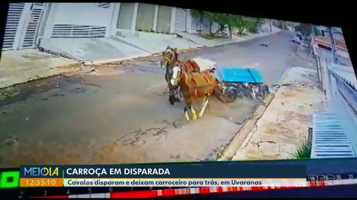 Carroceiro chuta cabeça de cavalo após animal cair exausto em MT