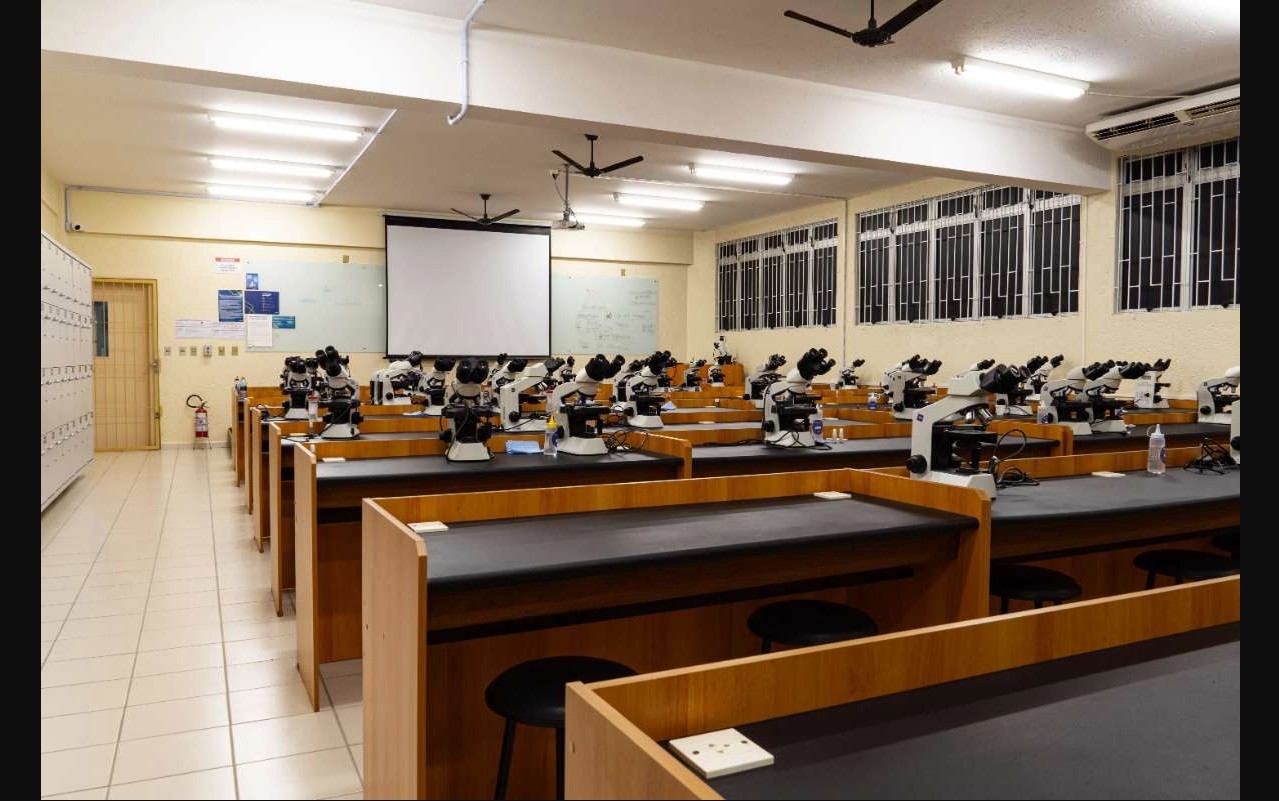 Inscrições para o Pé-de-Meia Licenciaturas são adiadas sem aviso