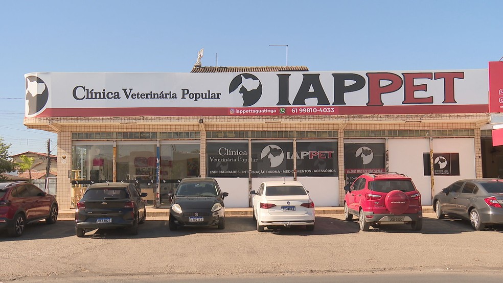 Clínica veterinária Iappet, em Taguatinga — Foto: TV Globo/Reprodução