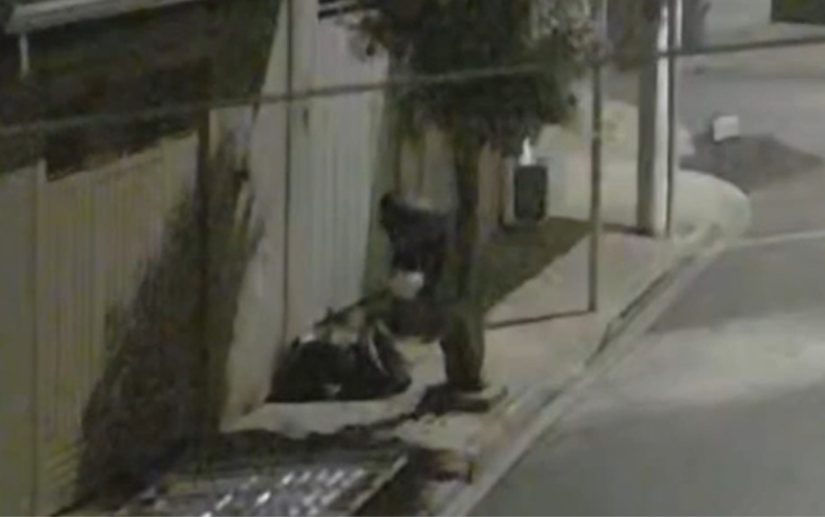 Homem coloca fogo no portão de uma casa, em Ribeirão Preto, SP; VÍDEO