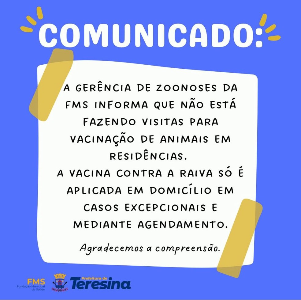Nota da FMS sobre vacinação de animais em residências — Foto: Reprodução/ FMS Teresina