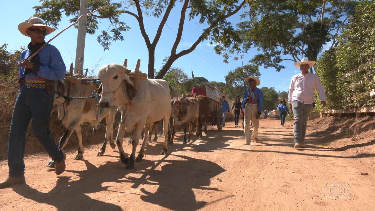 Jornal do Campo deste domingo, 29 de junho de 2025
