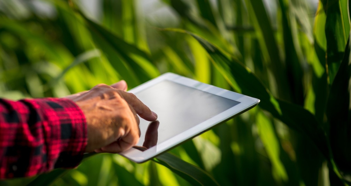 Inovação estimula a economia e o crescimento sustentável do agro catarinense