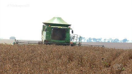 Especialista faz projeções para temporada de plantio de soja no Tocantins