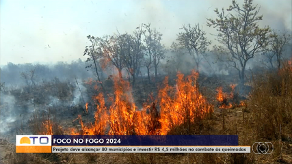 Projeto Foco no Fogo 2024 deve alcançar 80 municípios do TO e investir R$ 4,5 milhões
