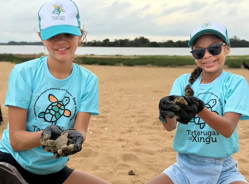 Mais de 1,8 mil filhotes de quelônios são soltos no Tabuleiro do Embaubal, no Pará
