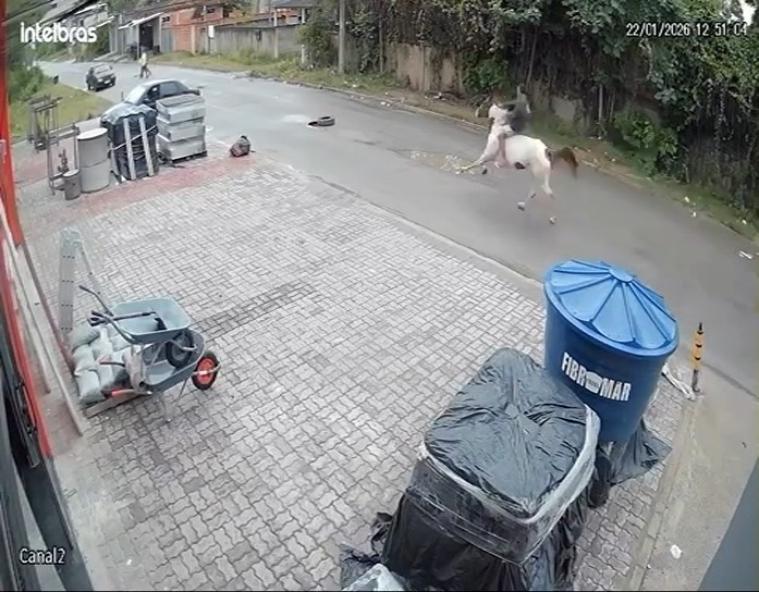 Atropelamento em Seropédica