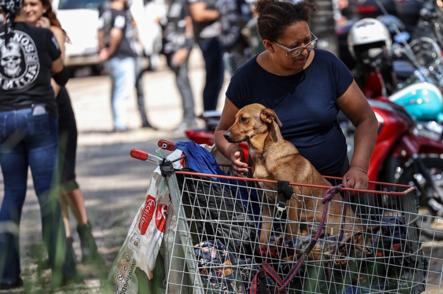 

Prefeitura de SP barra ações de ONG que oferece atendimento veterinário para pets de moradores de rua