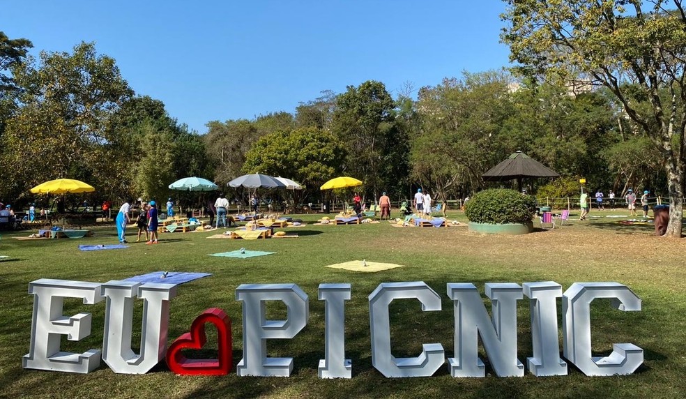 Nova área de piquenique dentro do Parque Villa-Lobos, na Zona Oeste de São Paulo, inaugurada em agosto. — Foto: Divulgação
