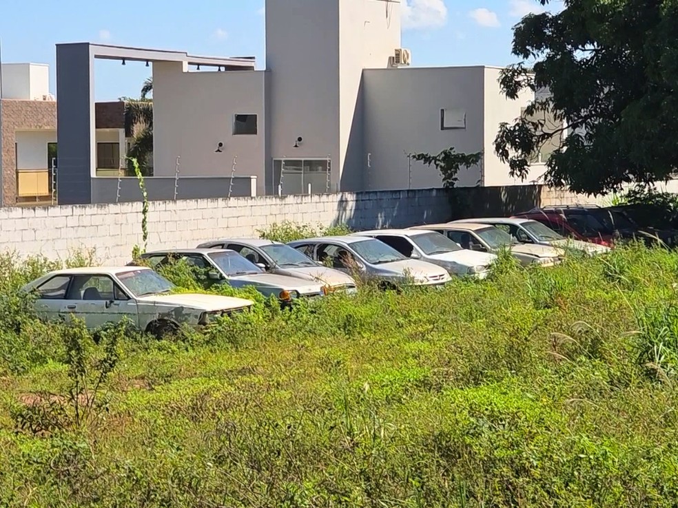 Moradores também reclamam de onze carros velhos abandonados em chácara — Foto: EPTV/Reprodução