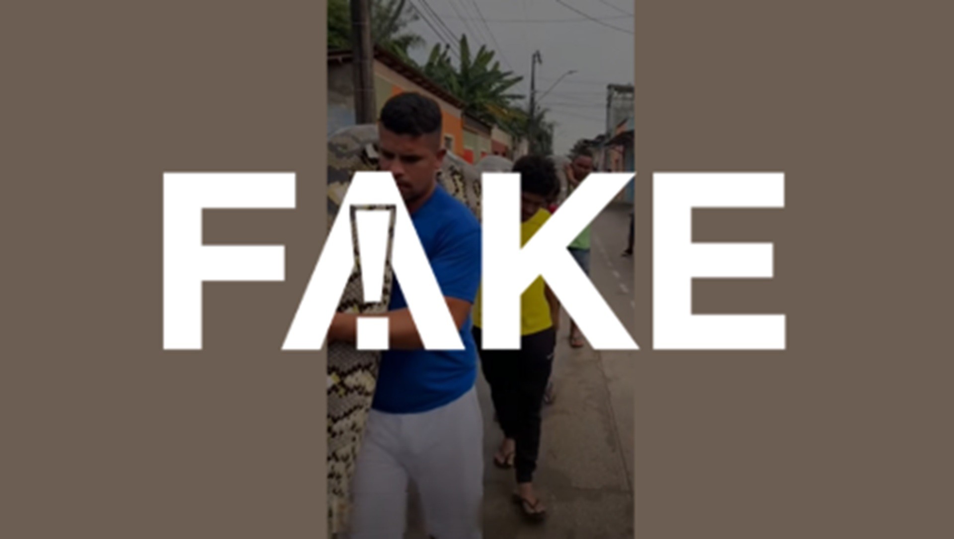 É #FAKE vídeo de homens carregando cobra gigante na Amazônia; cena foi feita com inteligência artificial