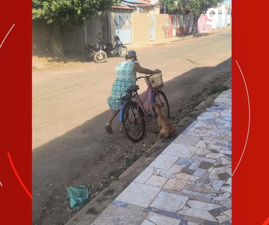 VÍDEO: mulher é flagrada arrastando cachorro debilitado em rua de MT