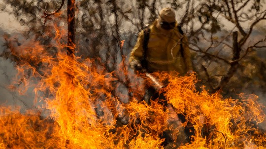 Fogo no Cerrado sobe 221% em agosto; veja cidades com mais queimadas - Foto: (Marcelo Camargo/Agência Brasil)